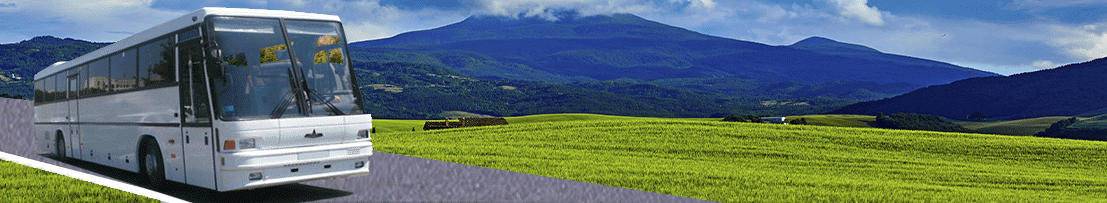 Запчасти для автобусов МАЗ